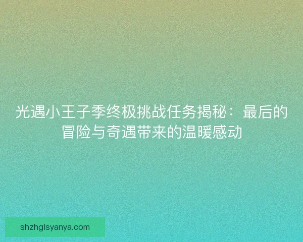光遇小王子季终极挑战任务揭秘：最后的冒险与奇遇带来的温暖感动