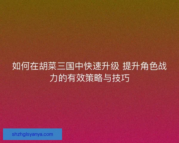 如何在胡菜三国中快速升级 提升角色战力的有效策略与技巧