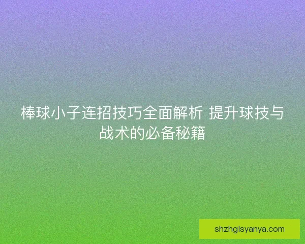 棒球小子连招技巧全面解析 提升球技与战术的必备秘籍