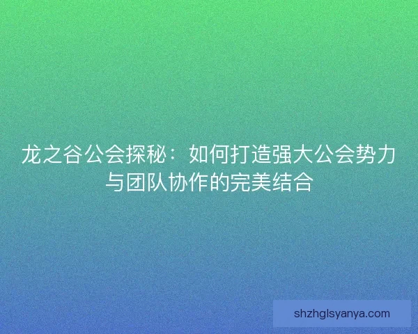 龙之谷公会探秘：如何打造强大公会势力与团队协作的完美结合