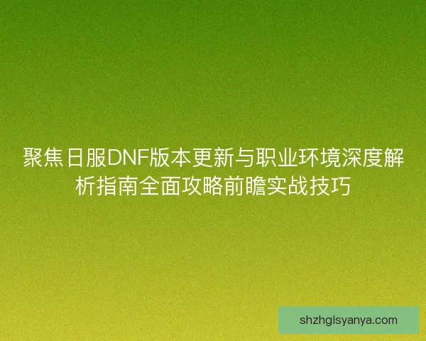 聚焦日服DNF版本更新与职业环境深度解析指南全面攻略前瞻实战技巧