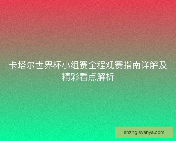 卡塔尔世界杯小组赛全程观赛指南详解及精彩看点解析 卡塔尔世界杯小组赛全程观赛指南详解及精彩看点解析