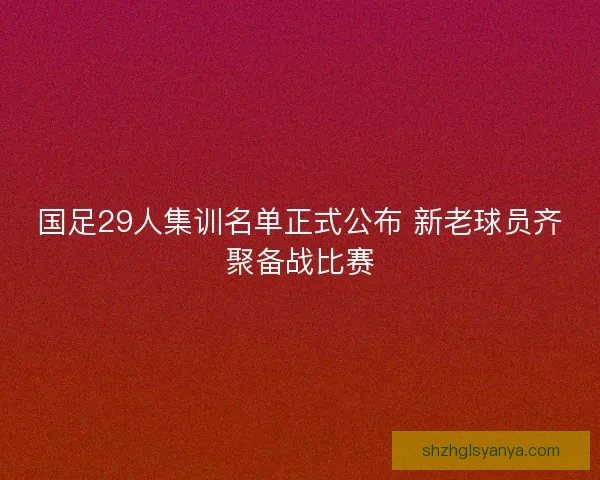 国足29人集训名单正式公布 新老球员齐聚备战比赛