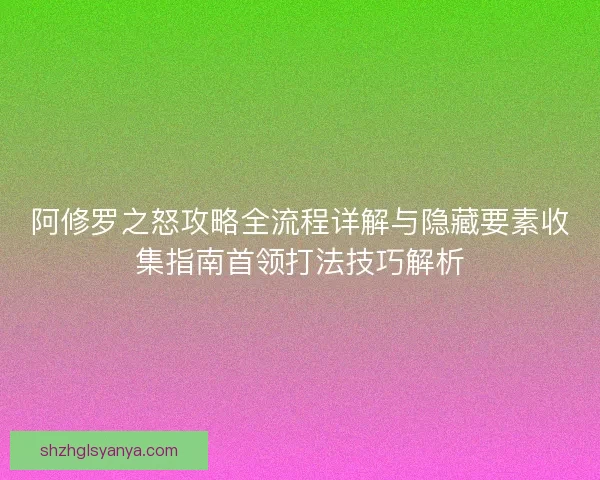 阿修罗之怒攻略全流程详解与隐藏要素收集指南首领打法技巧解析