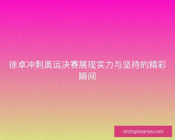 徐卓冲刺奥运决赛展现实力与坚持的精彩瞬间